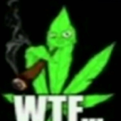 Avatar for tturing