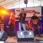 Snaft Live