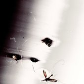 Bugs - Single