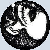 Avatar for ernestembryo