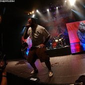 The Acacia Strain