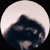 Avatar for chagais