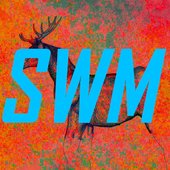 SWM YT
