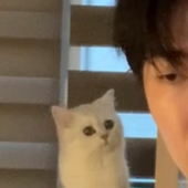 miaowuyiya 的头像