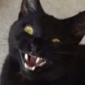 Avatar for Nonceslayer69