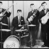 The Remo Four.JPG