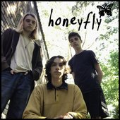 Alternate cover to Honeyfly's self-titled album