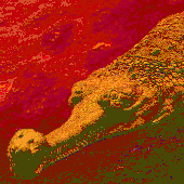 Avatar for kbizzleable