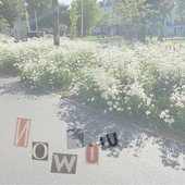 Now Now