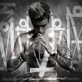 Purpose - Official Standard Edition