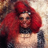 bjork-2012-du-preez-thornton-jones-01.jpg