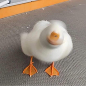 yeet_3110 的头像