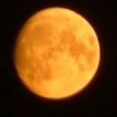 Avatar di flyingorange