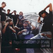 Page 1：ANATOMY OF INSANE