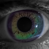Avatar for SirFolio