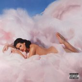 Teenage Dream: The Complete Confection