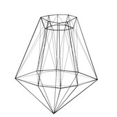 THE CAGE