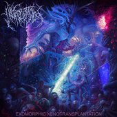 Exomorphic Xenotransplantation