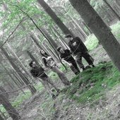 The only one pic! in the forest :]