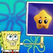 zoidddd