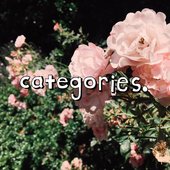 categoFBprof1.jpg