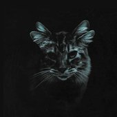 too scared to explain - EP