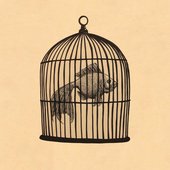 Fish in a Birdcage