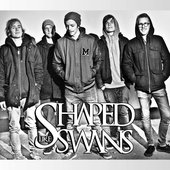 Shaped Like Swans - November 2011