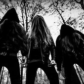 Into Coffin