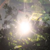 The Din of Light