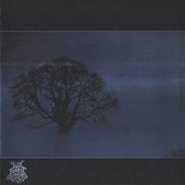 Forest Perversions