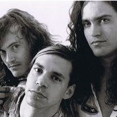 Meat Puppets