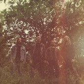 Eyes of the oak