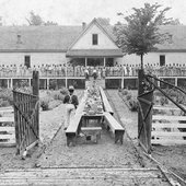parchman-1024x593.jpg