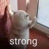 Martatig 的头像