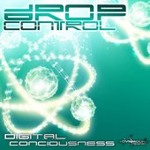 Digital Consciousness