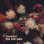 The Silk Lake