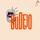 BUDEJO-C3-1400.png