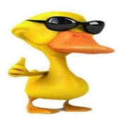 CrzCrispy 的头像