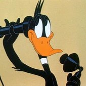 daffy-What's going on on your end_.jpeg