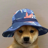 Halcki 的头像