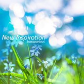 New Inspiration