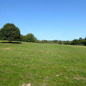 Broadfield19 的头像