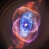 spacejellyfishthing
