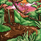 Cocoa Shrimp Safari