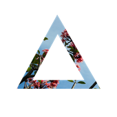 alian 的头像