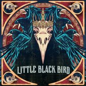Little Black Bird