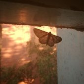 e40e2ef7c13ae079d0c6dc3238ccdb29.jpg