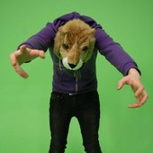 LionHat