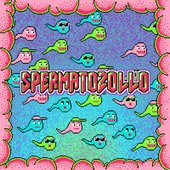 SPERMATOZOLLO